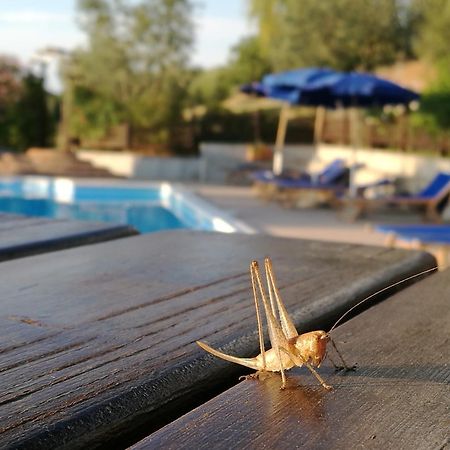 Monteleone dʼOrvieto Agriturismo Cornieto מראה חיצוני תמונה