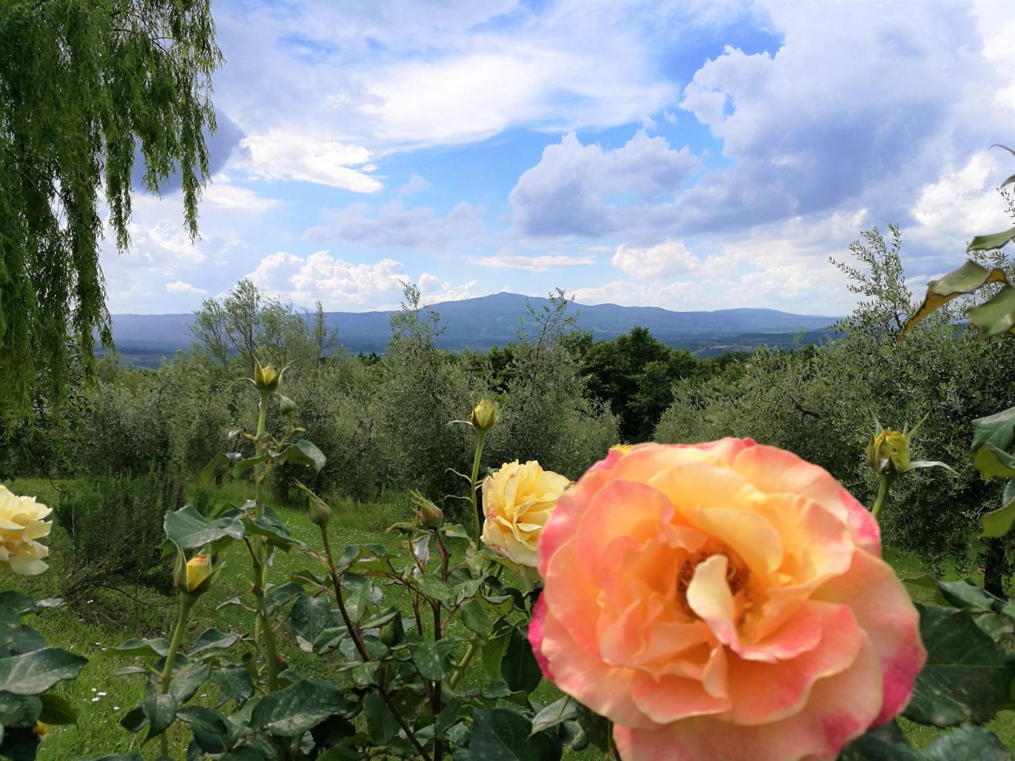 Monteleone dʼOrvieto Agriturismo Cornieto מראה חיצוני תמונה