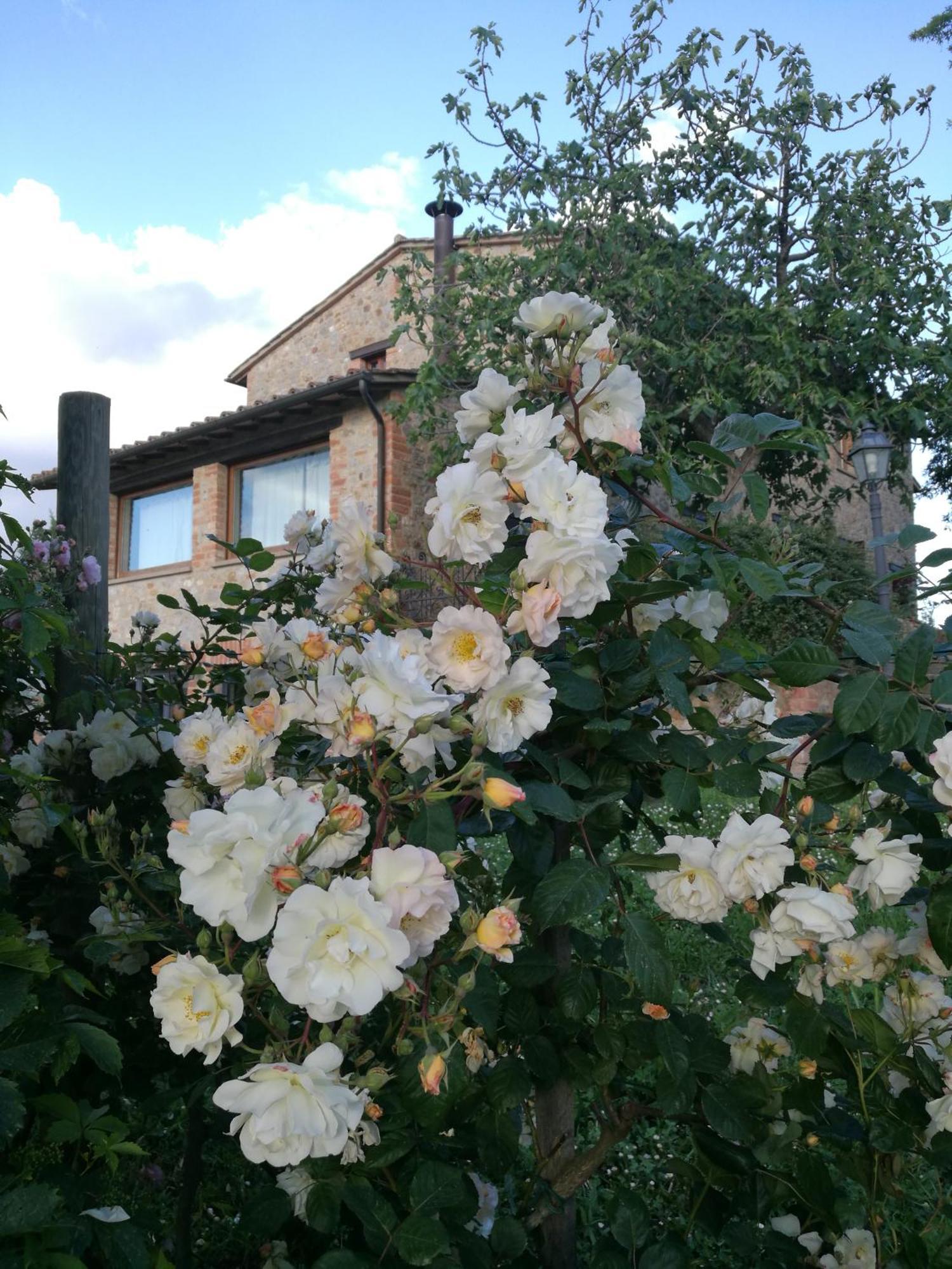 Monteleone dʼOrvieto Agriturismo Cornieto מראה חיצוני תמונה