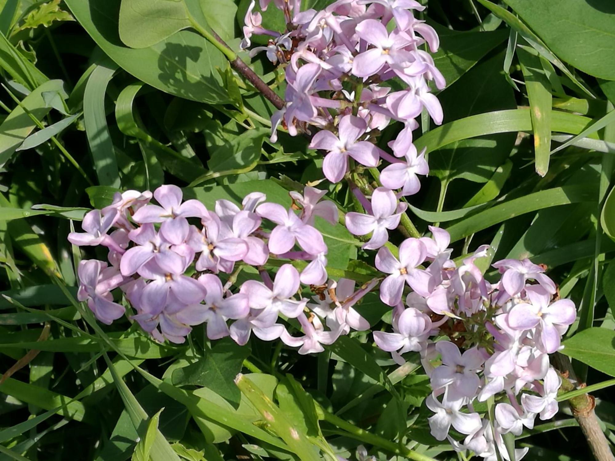 Monteleone dʼOrvieto Agriturismo Cornieto מראה חיצוני תמונה