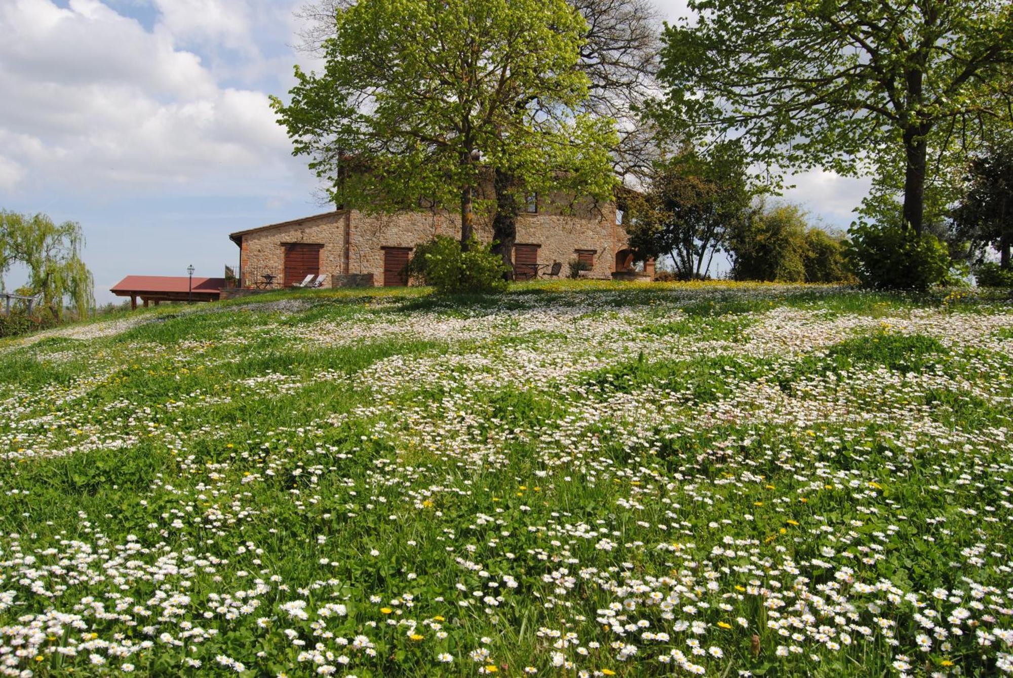 Monteleone dʼOrvieto Agriturismo Cornieto מראה חיצוני תמונה