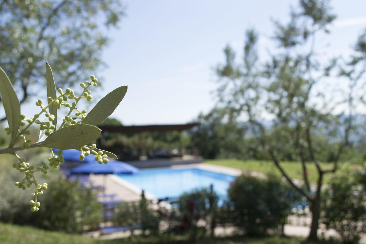 Monteleone dʼOrvieto Agriturismo Cornieto מראה חיצוני תמונה