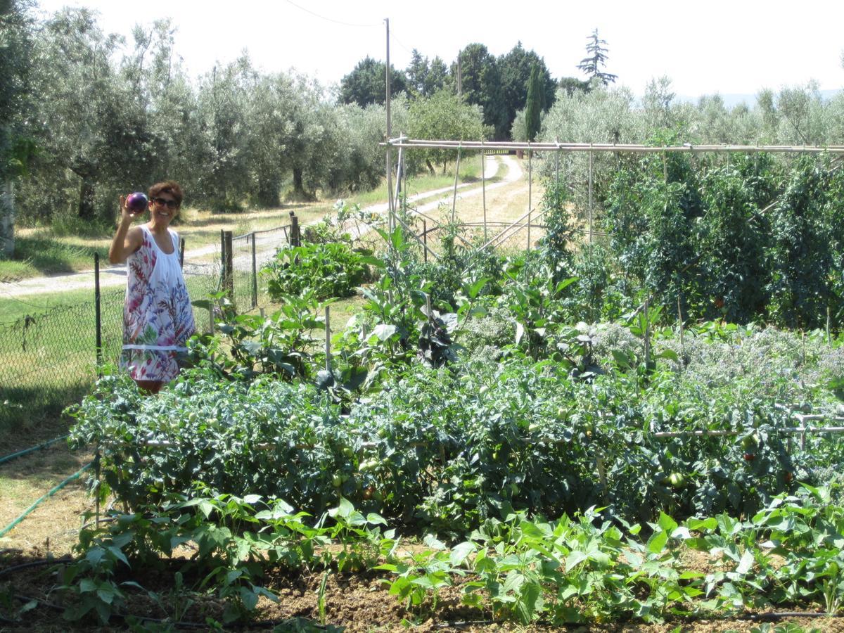 Monteleone dʼOrvieto Agriturismo Cornieto מראה חיצוני תמונה